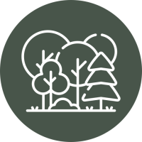 foret foret