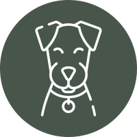 chien chien